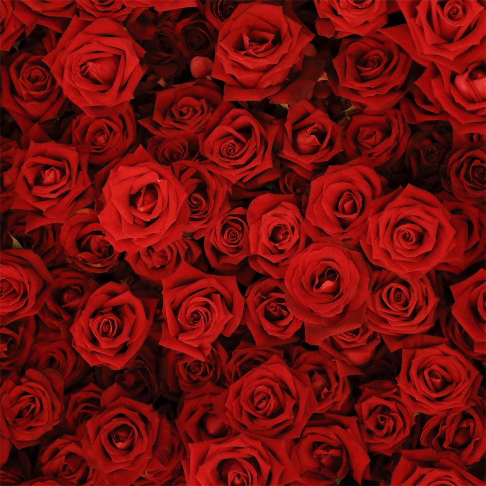 Backdrop Weddings Red Rose Floral Wall Backdrop BRP12-384