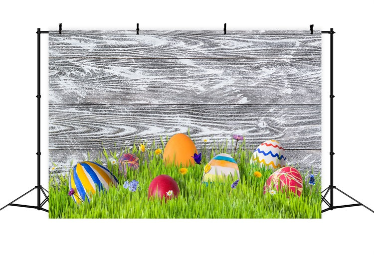 Easter Photo Backdrop Ideas Meadow Colorful Eggs Backdrop BRP12-424