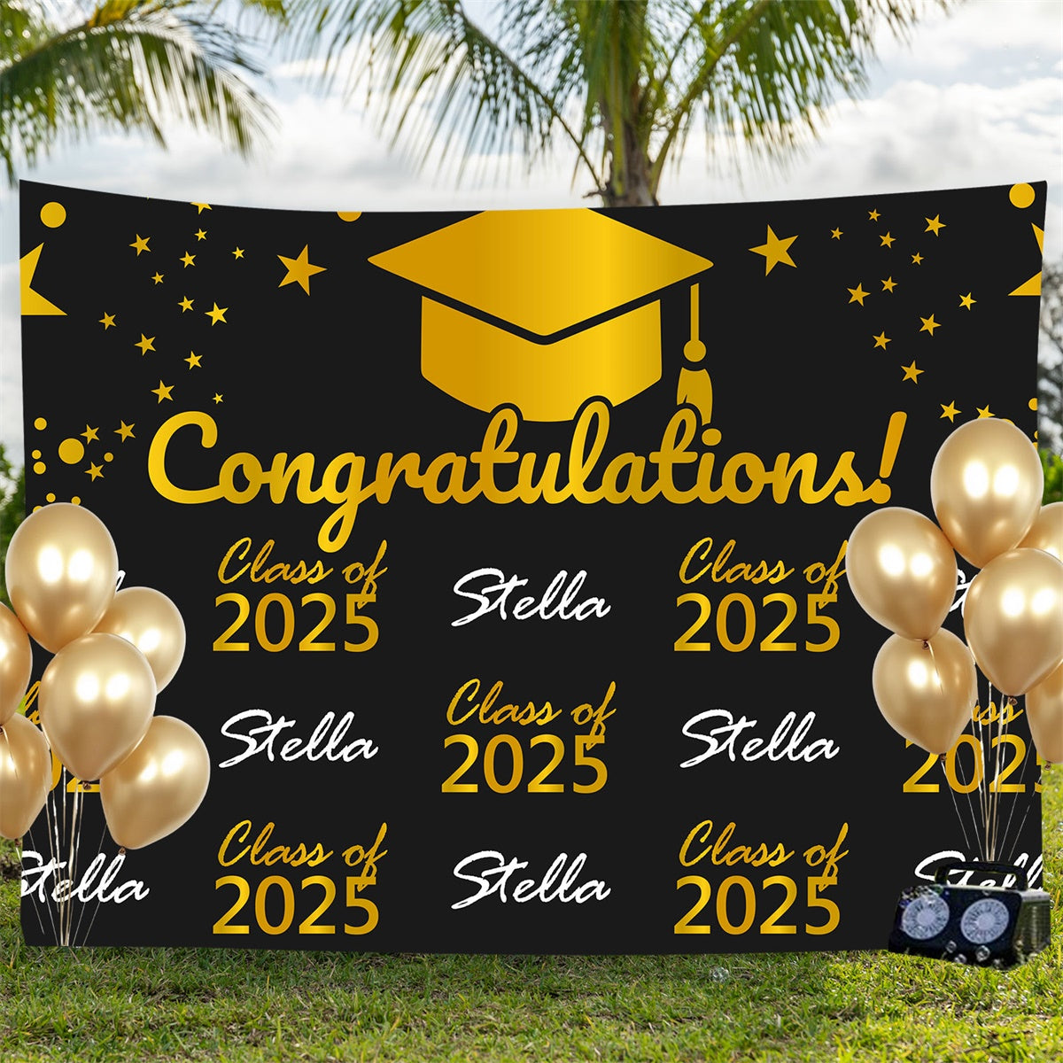 Personalized Graduation Backdrop Elegant Black Graduation Party Backdrop BRP3-3
