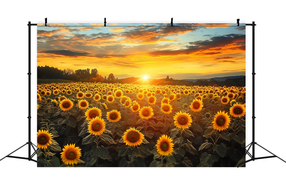 Sunset Photo Backdrop Fire Sky Sunflower Fall Backdrop BRP57-172