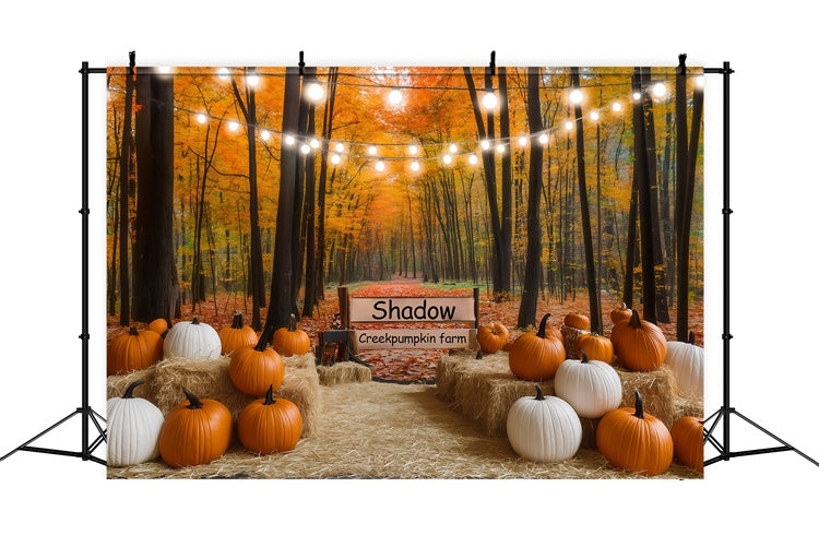 Fall Forest Backdrop Lights Pumpkin Trail Backdrop BRP57-177