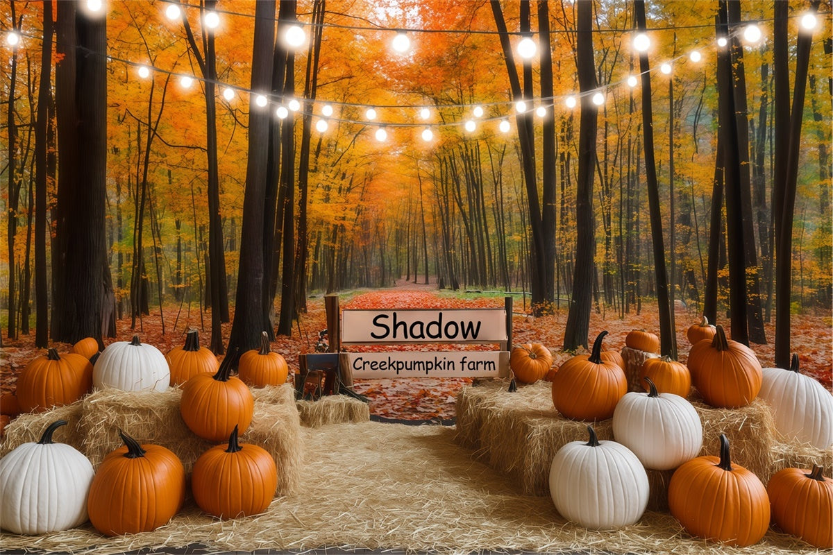 Fall Forest Backdrop Lights Pumpkin Trail Backdrop BRP57-177