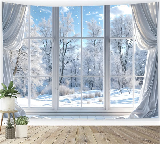 Clear Winter Day Through Glass Window Backdrop BRP9-232