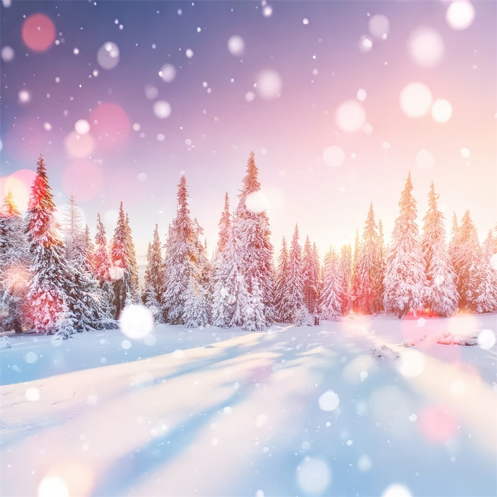 Morning Light Winter Snowy Pine Forest Backdrop BRP9-299