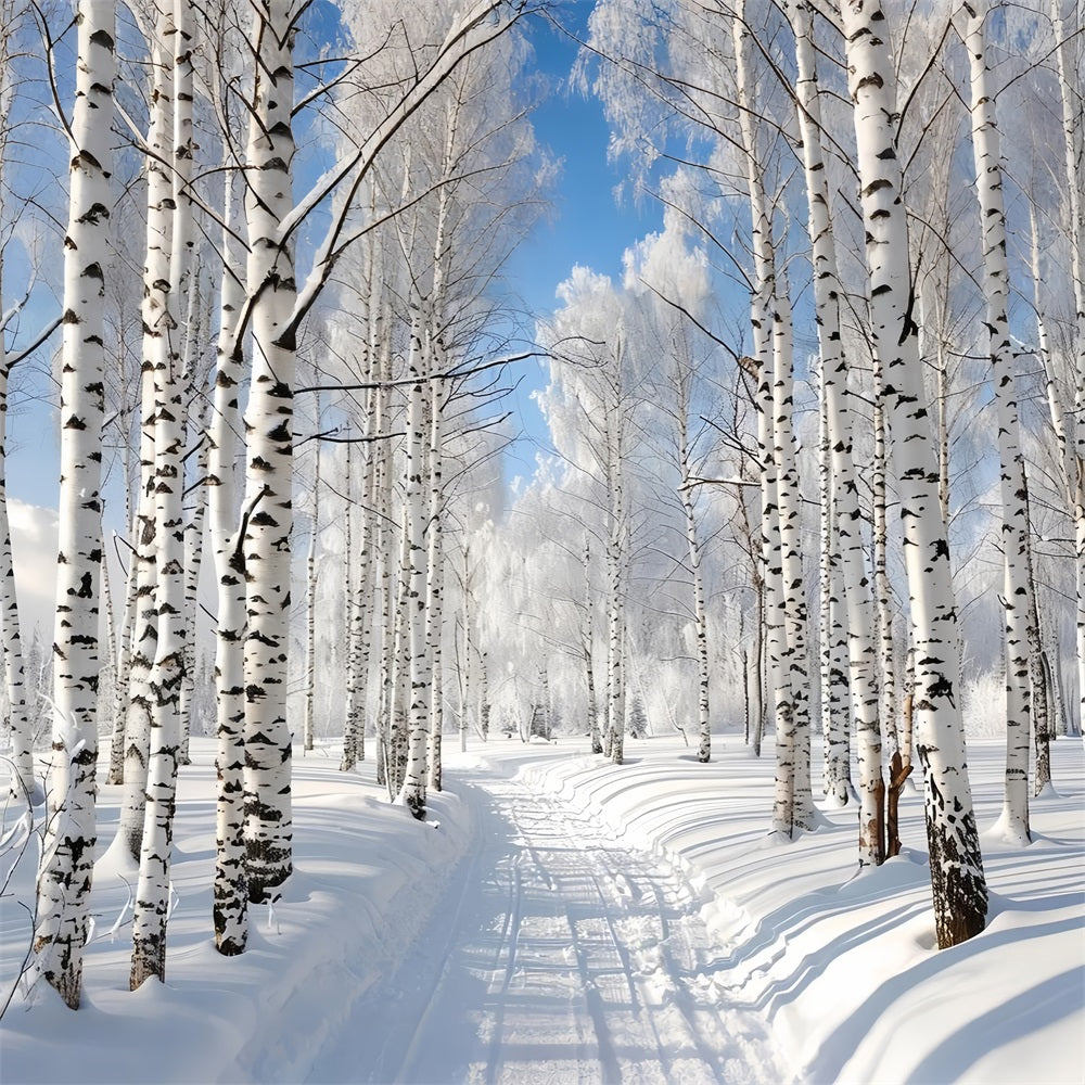 Snow Covered Path Through Winter Forest Backdrop BRP9-321