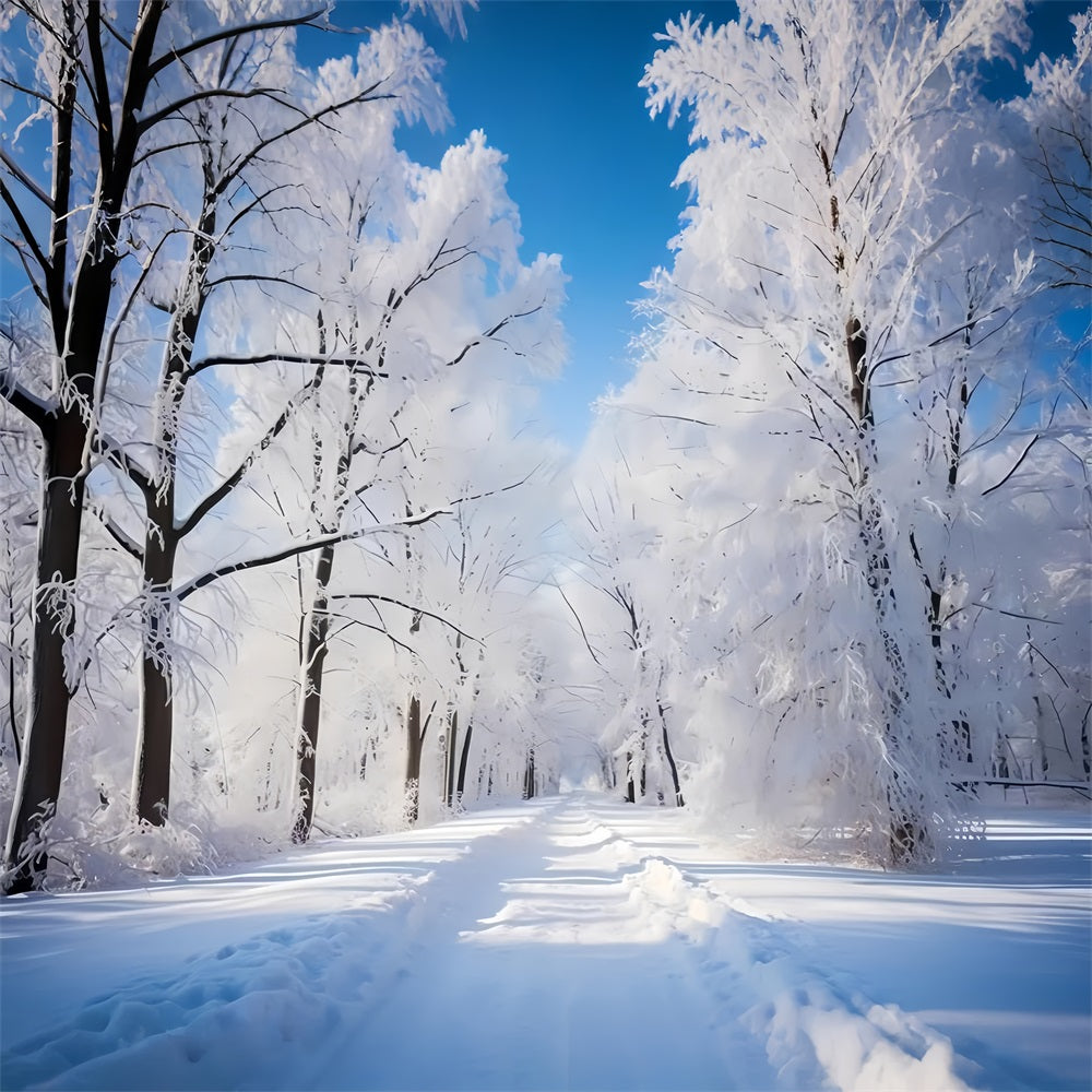Frosty Winter Day Forest Path Photography Backdrop BRP9-322