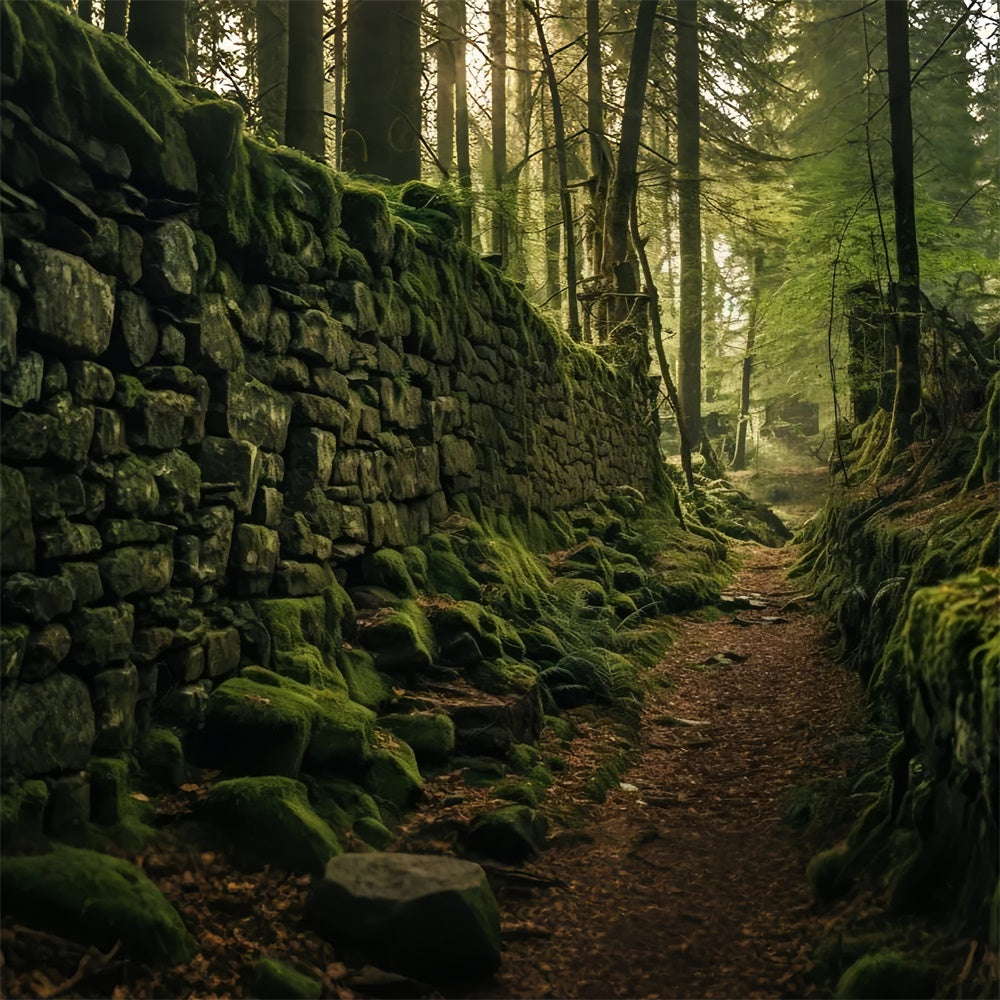 Forest Backdrop Photography Mossy Stone Wall Pathway Backdrop CJJ2-128