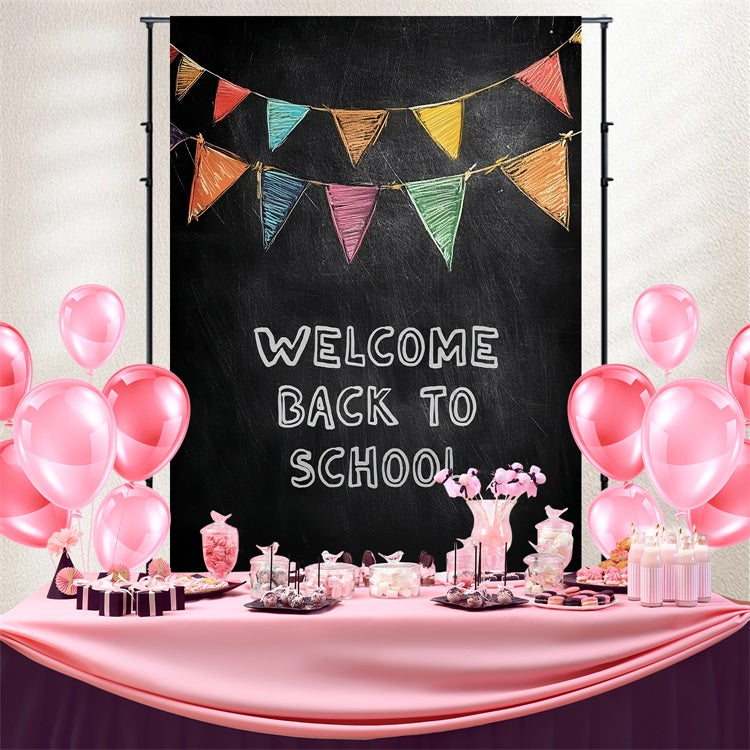 Back To School Picture Backdrop Classic Chalkboard Welcome Backdrop CSH3-61