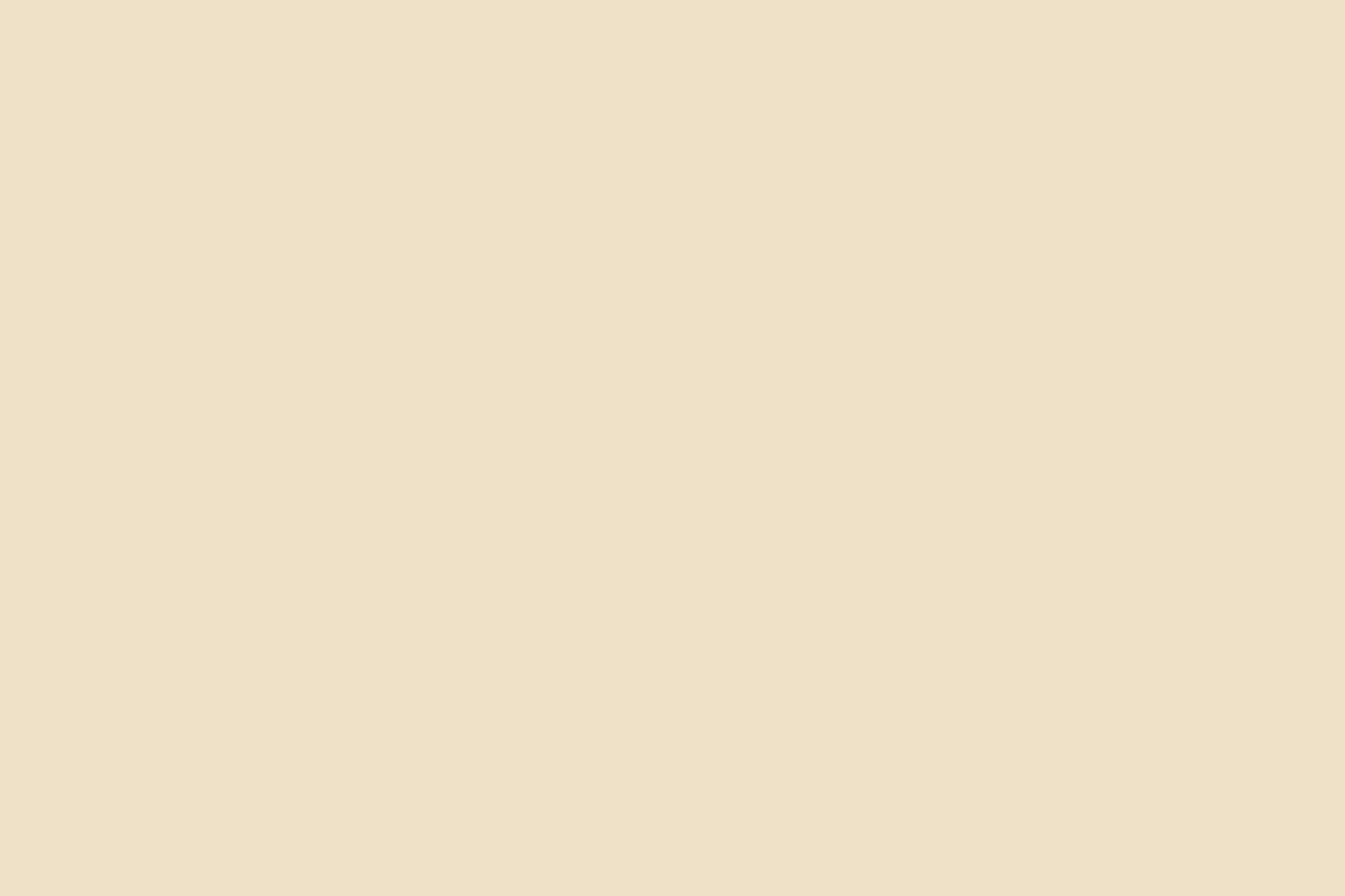 Solid Color Backdrops Soft Creamy Beige Backdrop CSH4-154