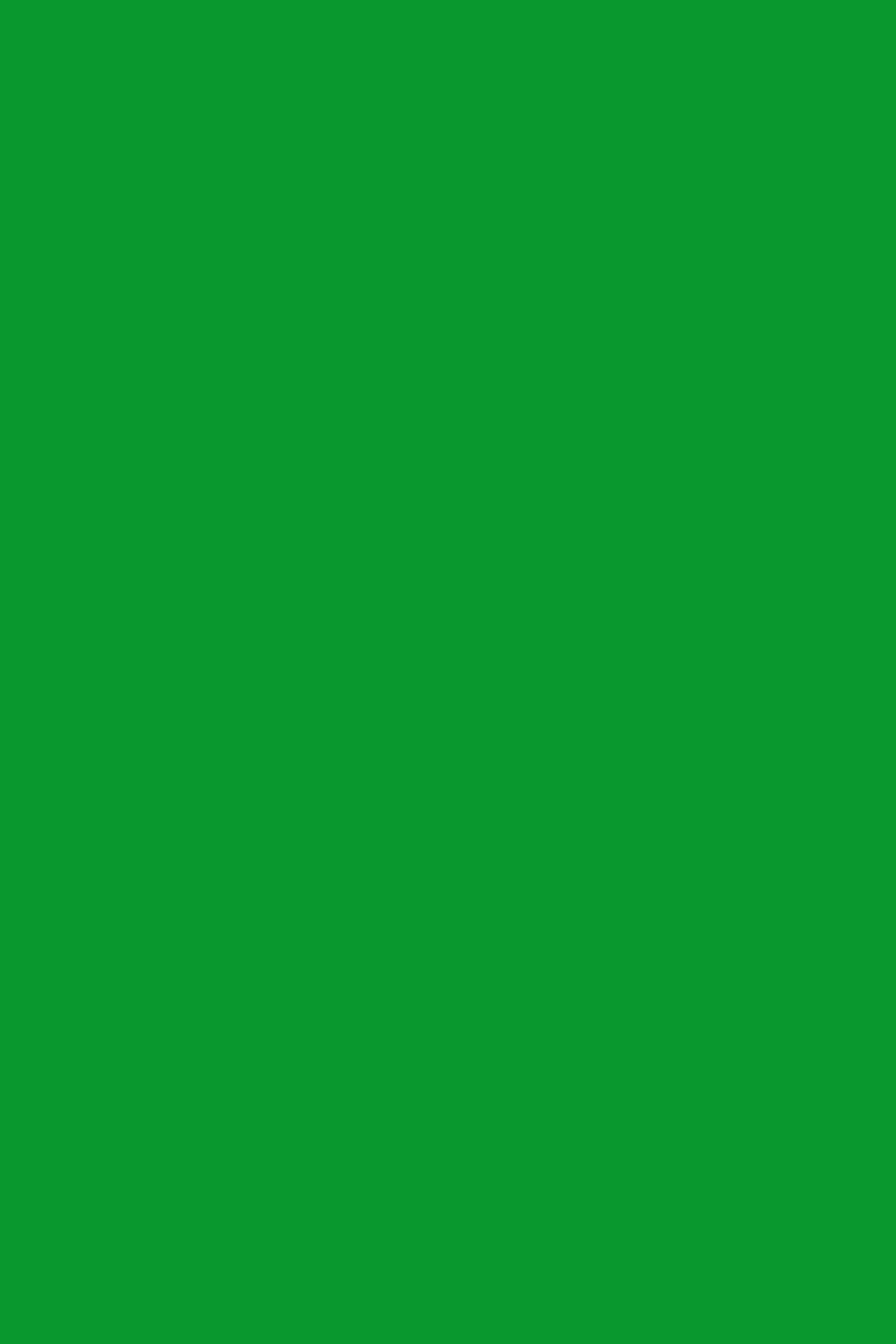 Green Photo Backdrop Bright Meadow Green Backdrop CSH4-156