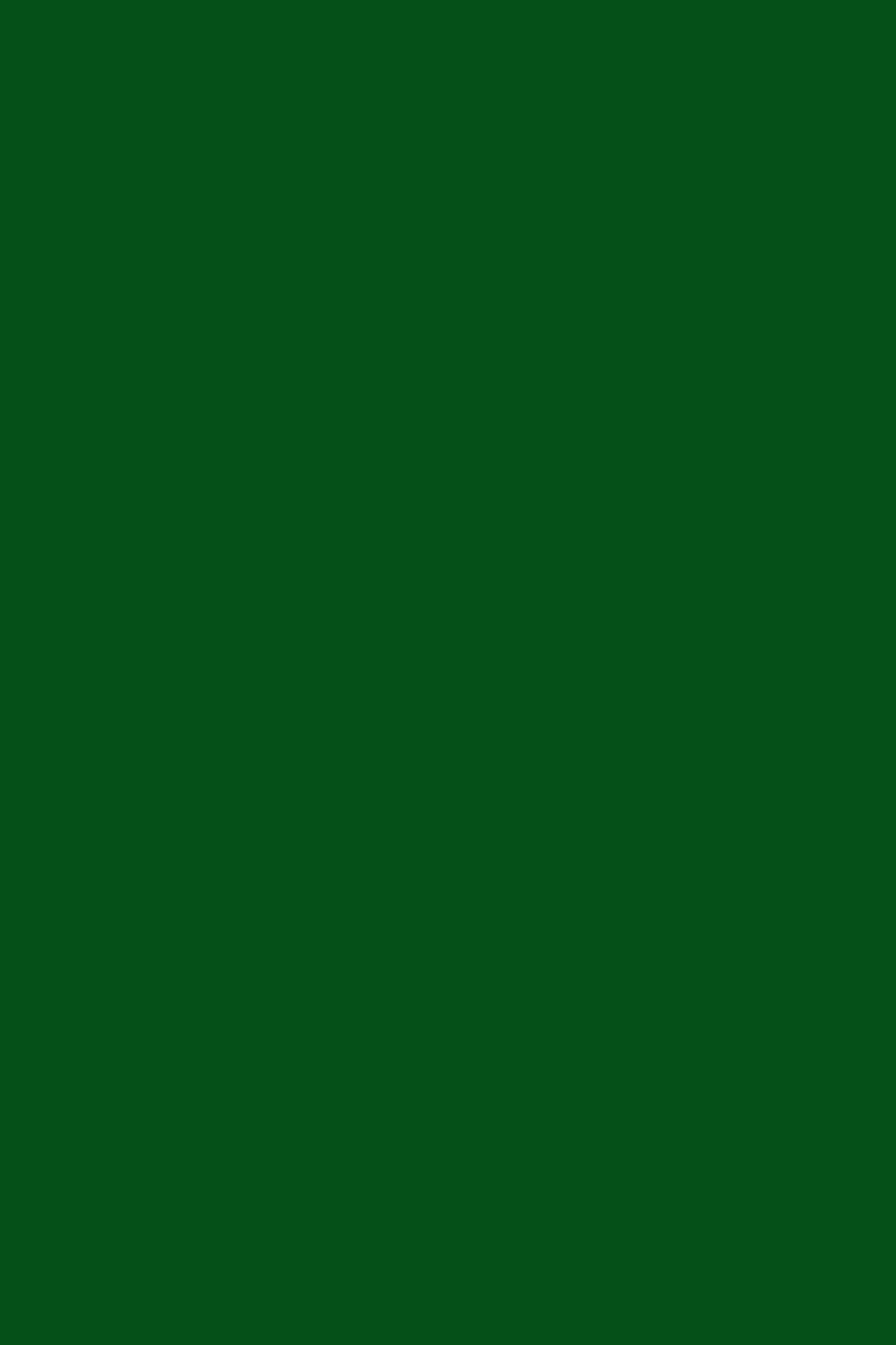 Green Photo Backdrop Enchanted Moss Green Backdrop CSH4-157