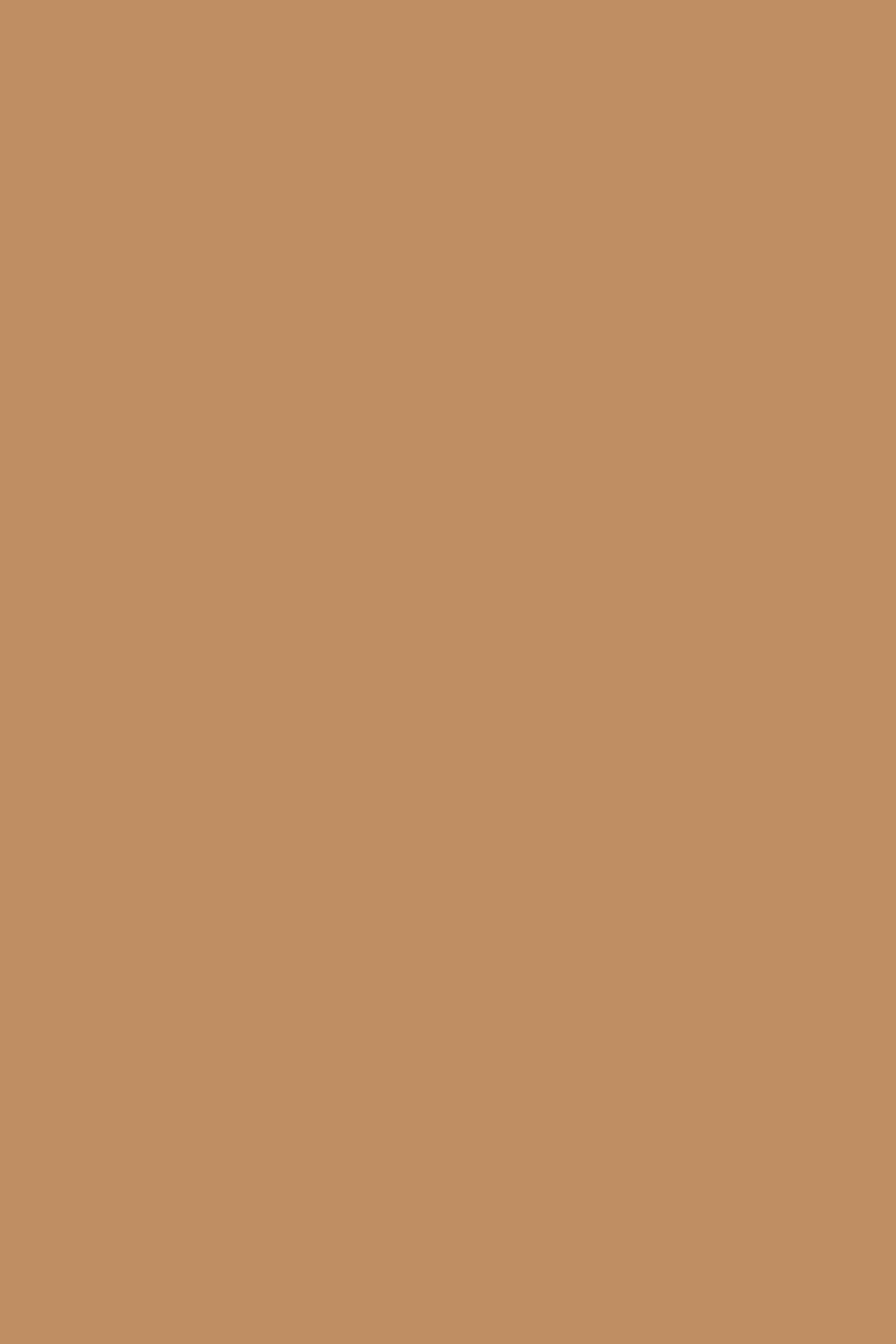 Solid Color Backdrops Toffee Butternut Brown Backdrop CSH4-159