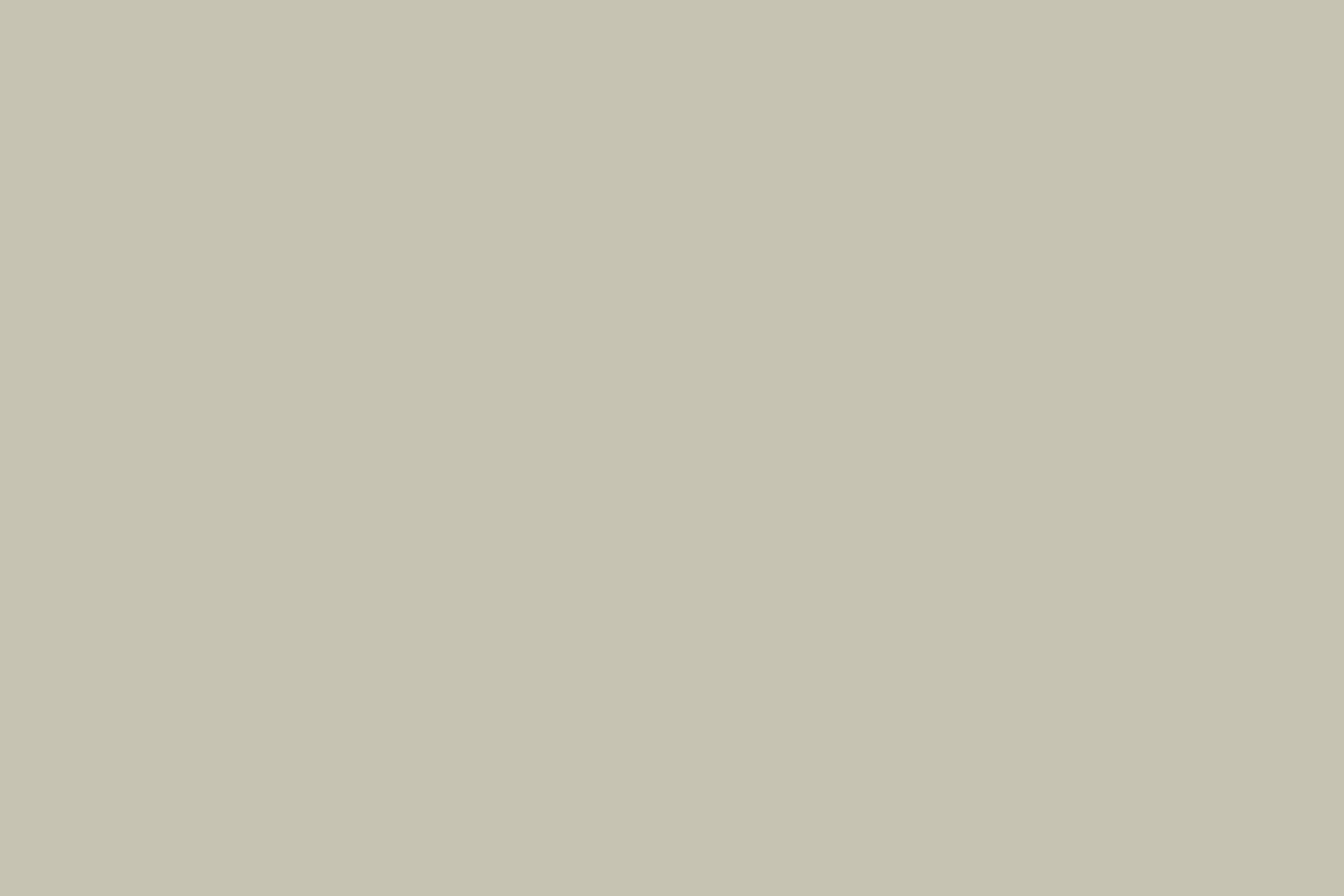 Solid Color Backdrop Light Herb Solid Backdrop CSH4-162