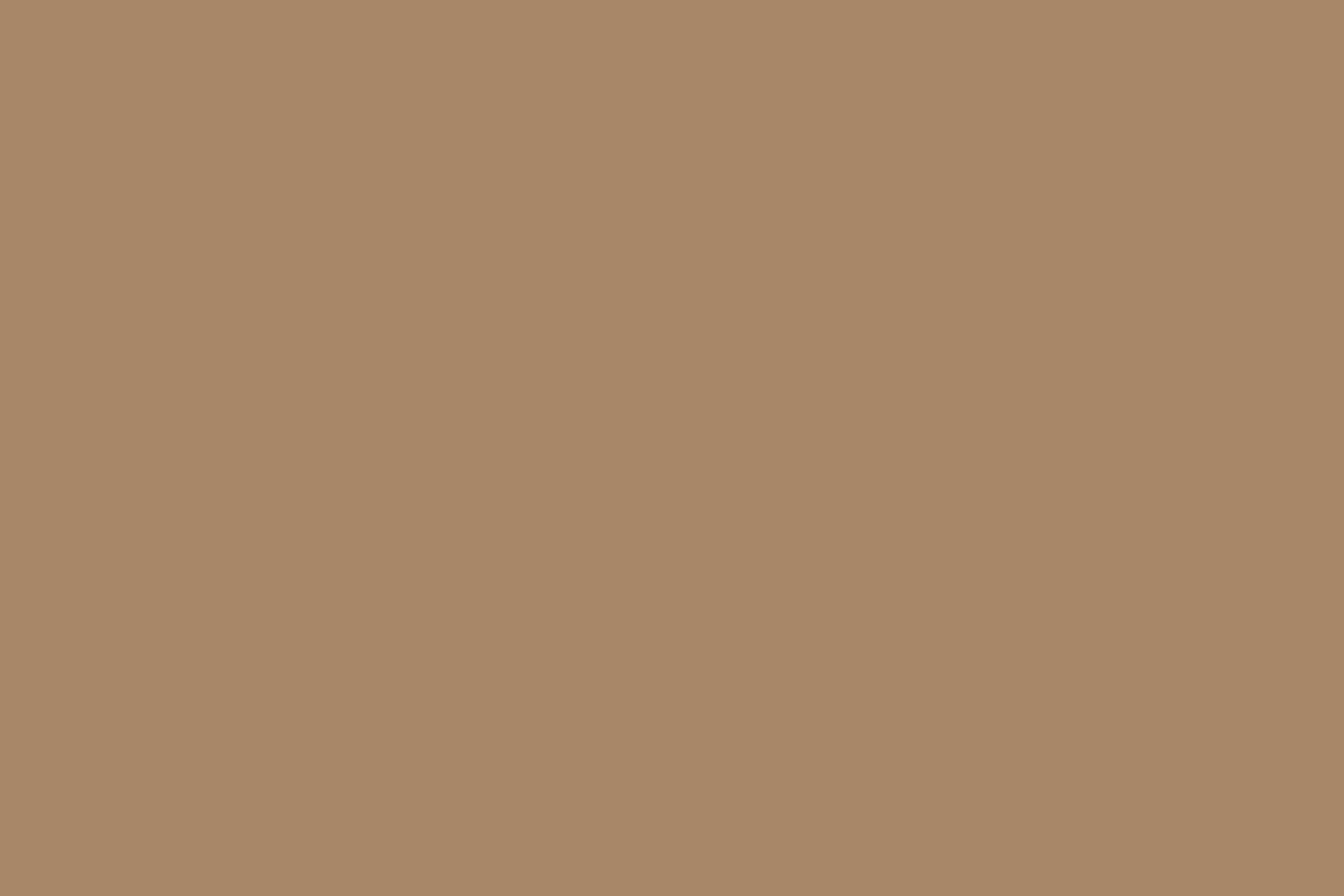 Backdrop Solid Color Warm Butterscotch Glow Backdrop CSH4-166