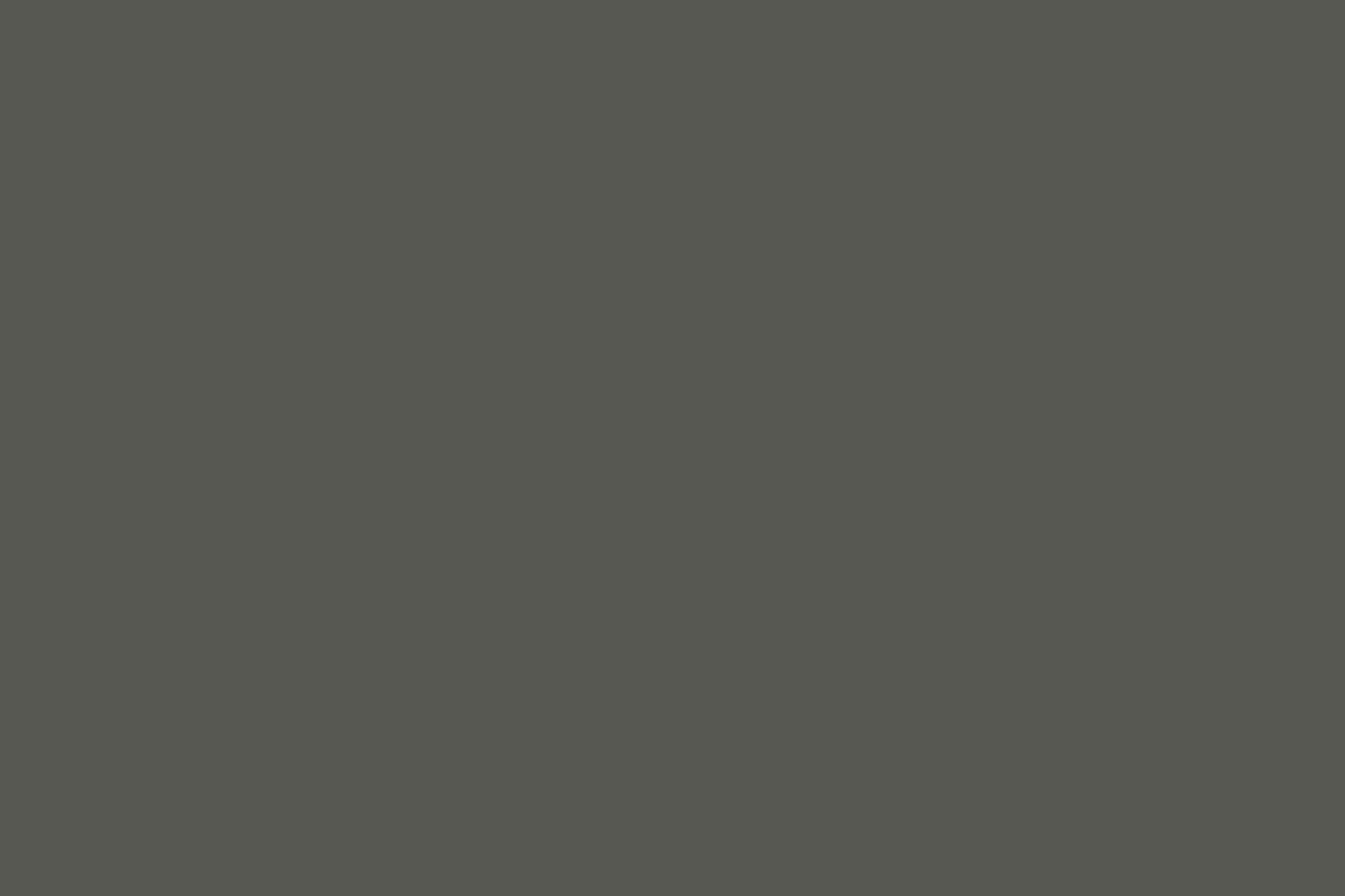 Backdrop Solid Color Dark Pinewood Ink Backdrop CSH4-169