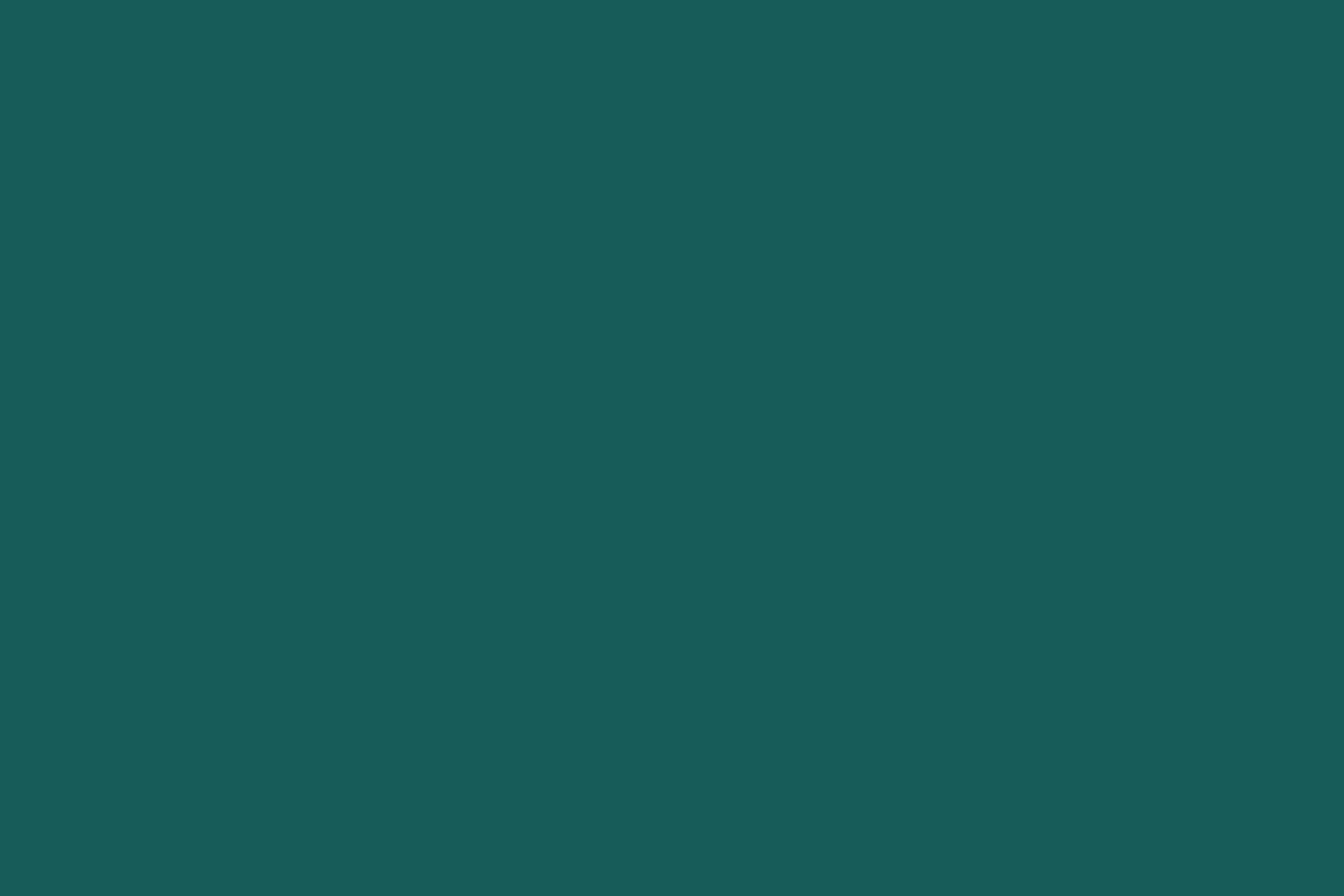 Solid Color Backdrops Sophisticated Teal Calm Backdrop CSH4-172