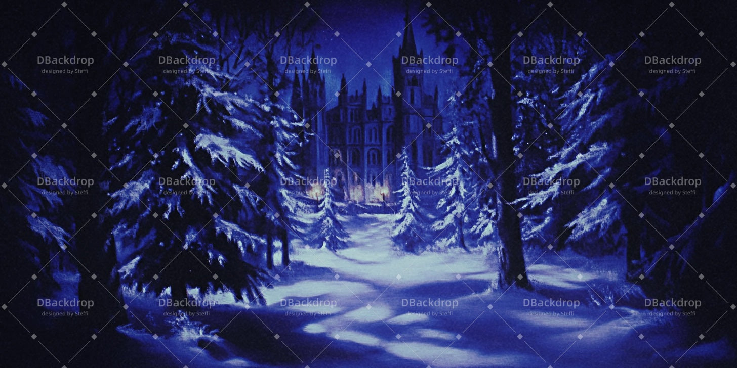 Theater Stage Backdrop Haunted House School Dance Backdrop CSH510-T3