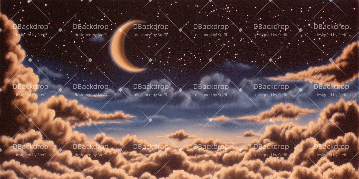 Professional Stage Backdrops Moon Night Movie Theater Backdrop CSH511-T5