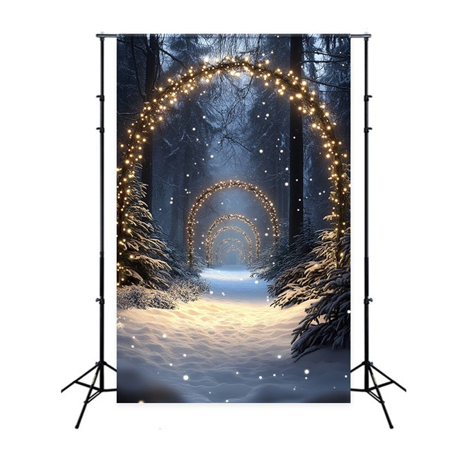 Snow Forest Backdrop Enchanted Lighted Pathway Backdrop CSH57-152