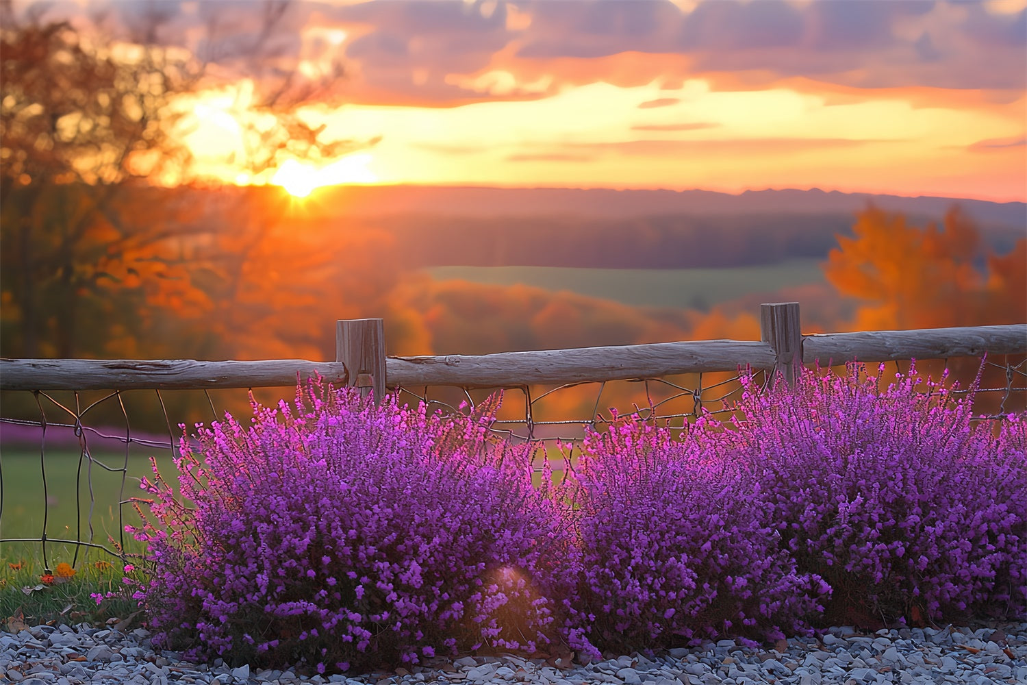 Sunset Backdrop Violet Bloom Horizon Autumn Backdrop CSH57-200