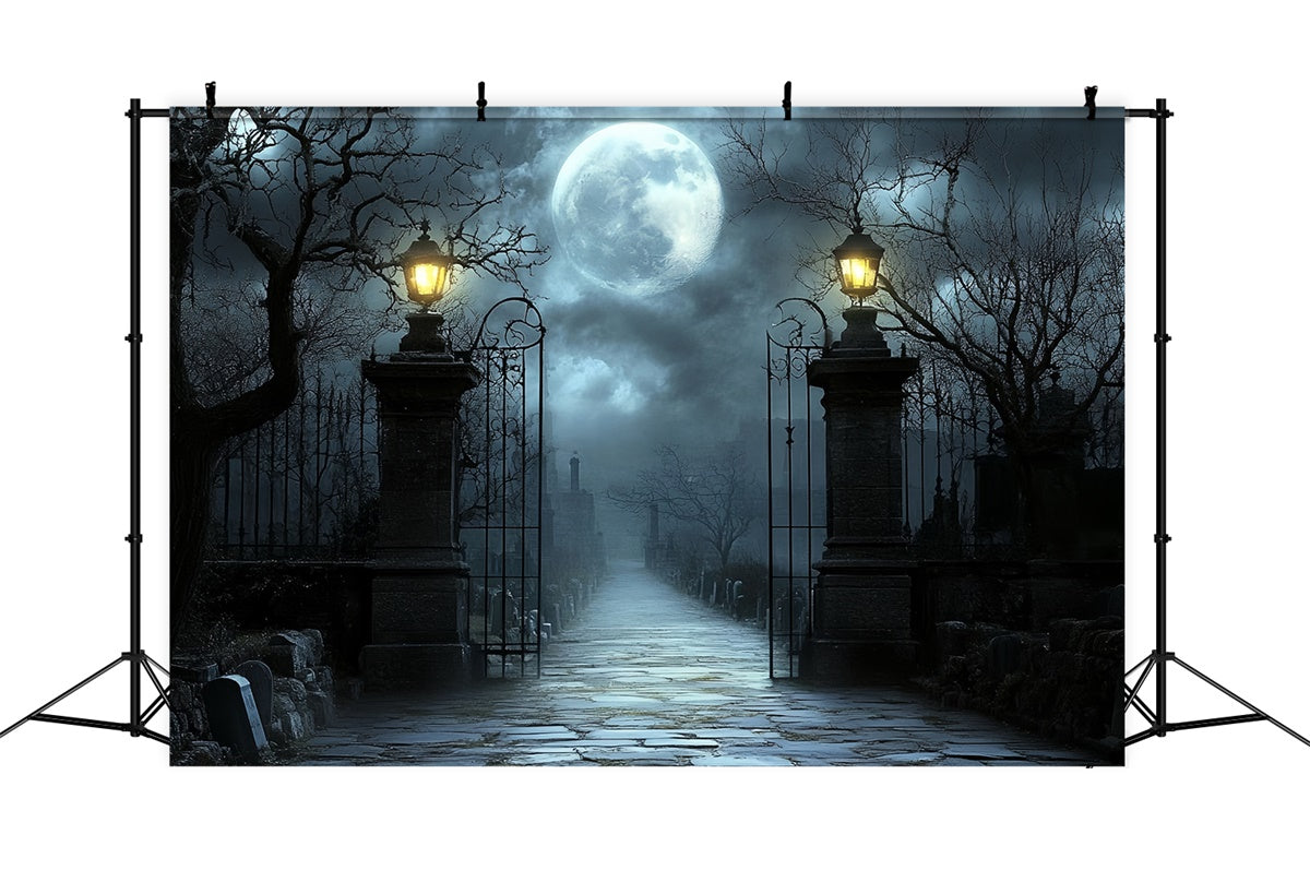 Halloween Photo Backdrop Moonlit Cemetery Gate Backdrop CSH57-63