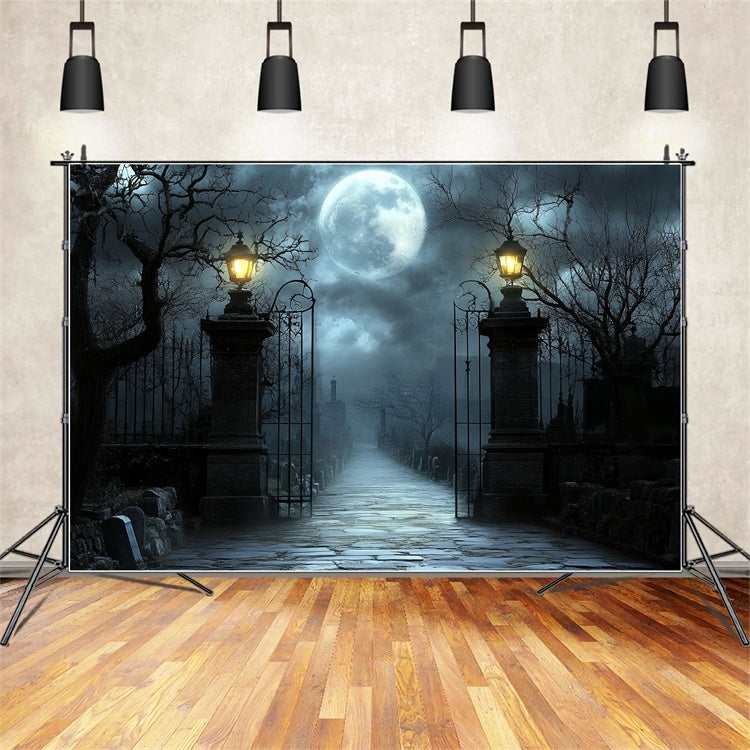 Halloween Photo Backdrop Moonlit Cemetery Gate Backdrop CSH57-63