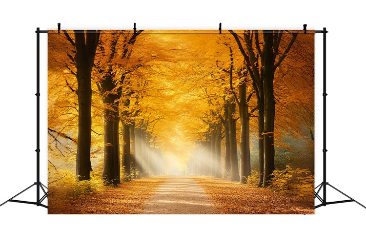 Forest Backdrop Sunlit Amber Path Autumn Leaves Backdrop CSH6-191