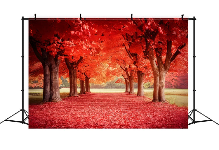 Forest Photo Backdrop Crimson Maple Trail Autumn Backdrop CSH6-192