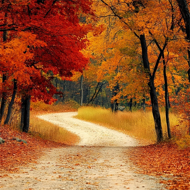 Forest Backdrops Rustic Redwoods Path Fall Leaves Backdrop CSH6-193