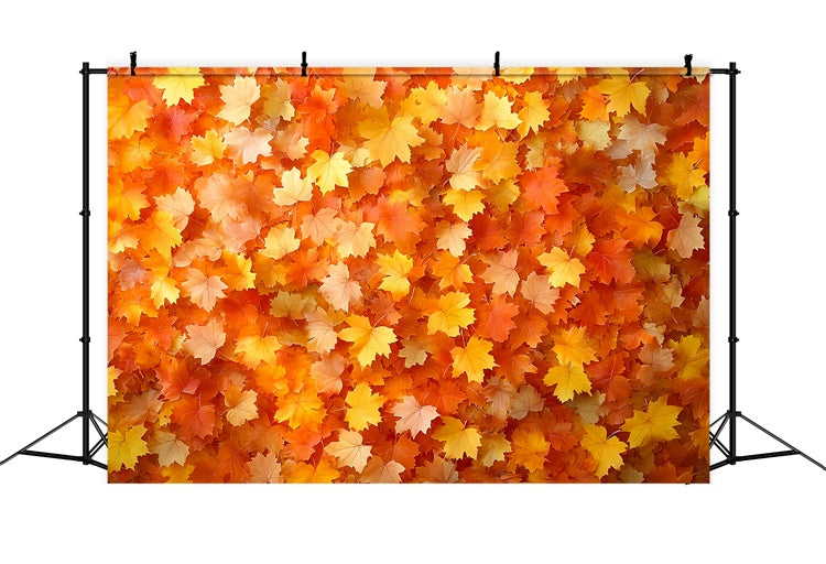 Autumn Leaves Backdrop Golden Leaves Rustic Backdrop CSH6-201