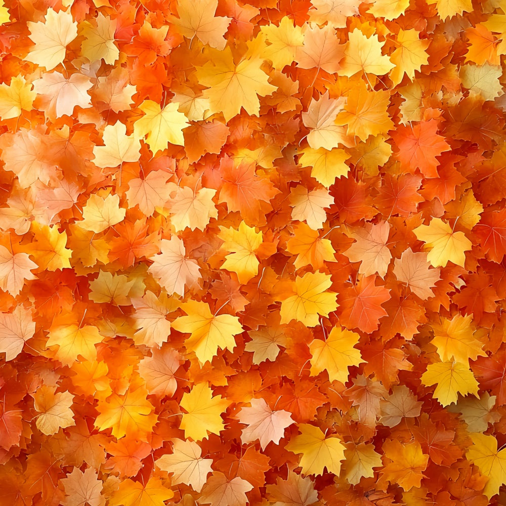 Autumn Leaves Backdrop Golden Leaves Rustic Backdrop CSH6-201
