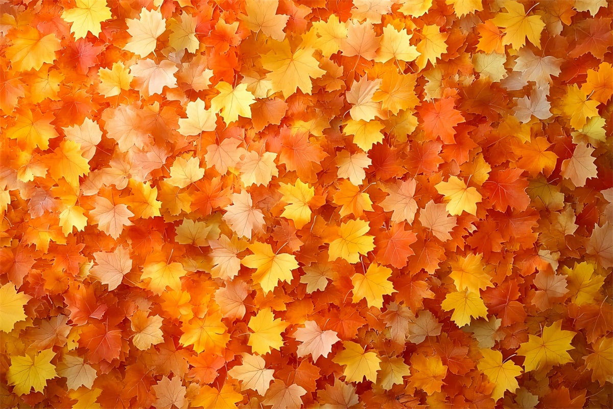 Autumn Leaves Backdrop Golden Leaves Rustic Backdrop CSH6-201