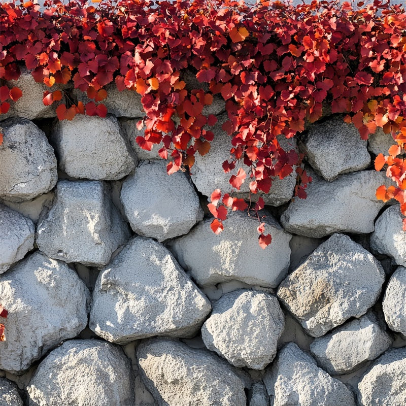 Autumn Photo Backdrop Simple Charm Fall Wall Backdrop CSH6-218