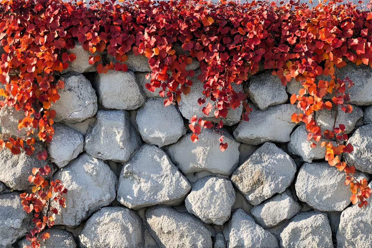 Autumn Photo Backdrop Simple Charm Fall Wall Backdrop CSH6-218