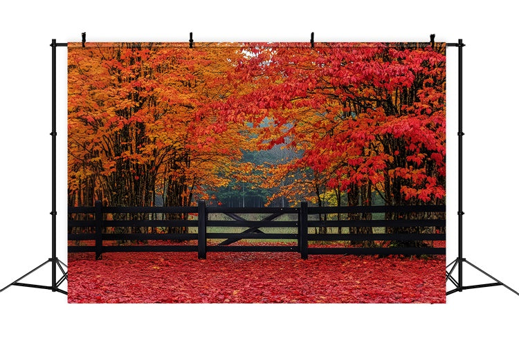 Fall Forest Backdrop Scarlet Forest Entry Backdrop CSH6-220