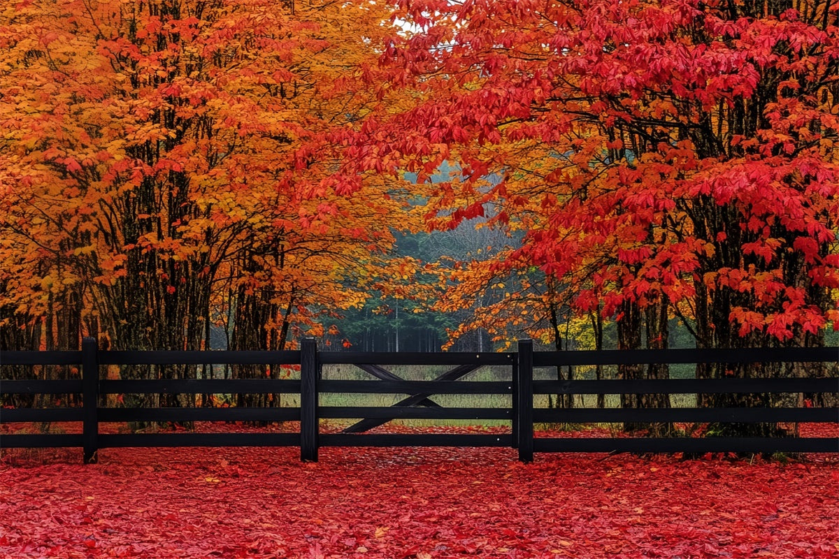 Fall Forest Backdrop Scarlet Forest Entry Backdrop CSH6-220