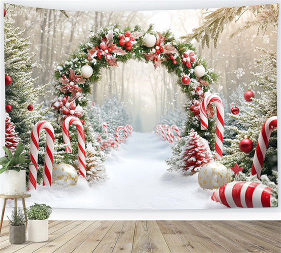 Christmas Photo Backdrop Candy Wonderland Arch Backdrop CSH6-242