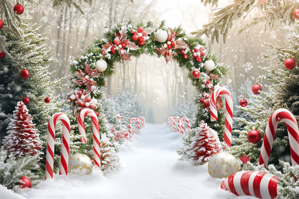 Christmas Photo Backdrop Candy Wonderland Arch Backdrop CSH6-242
