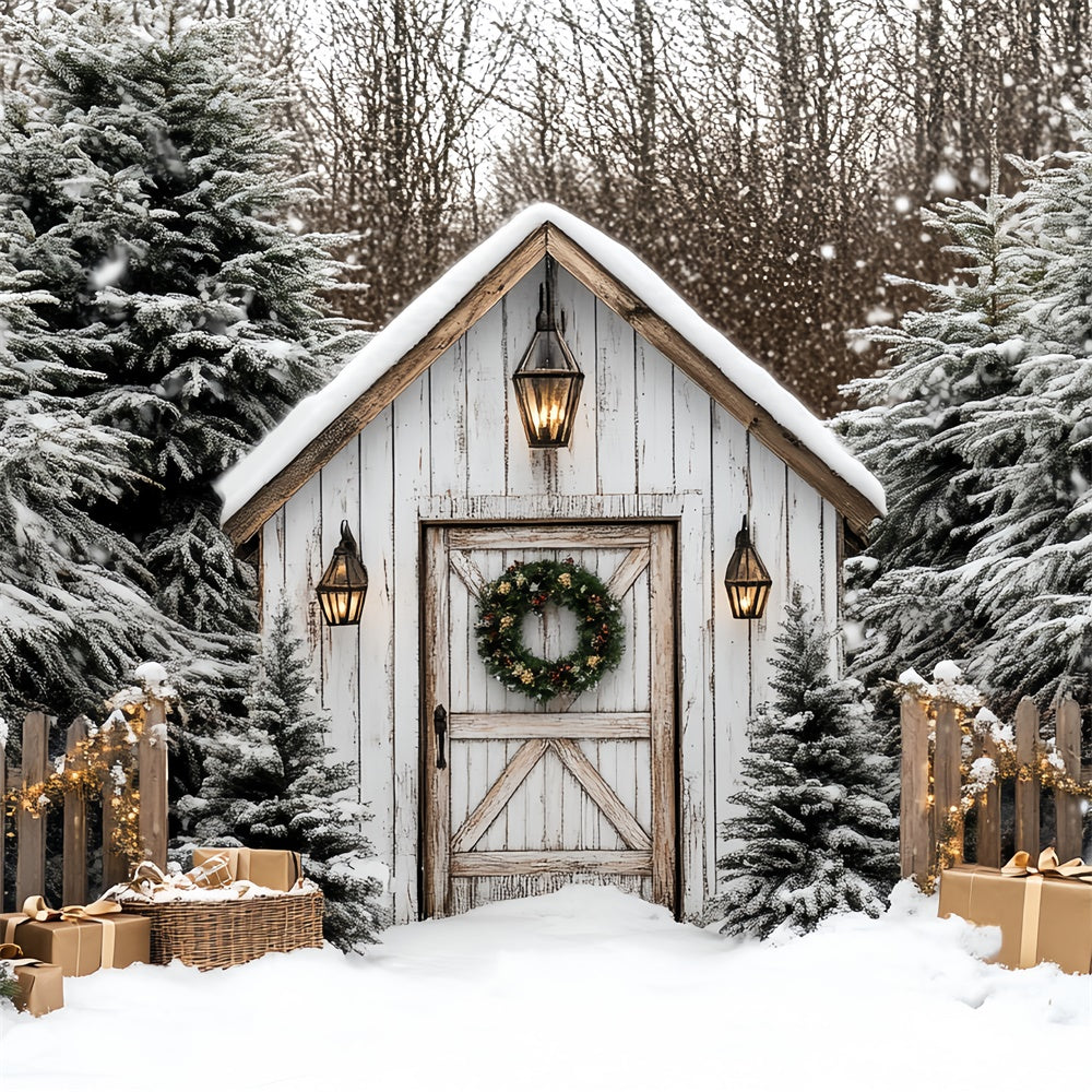 Christmas Photography Backdrops Rustic Holiday Hut Backdrop CSH6-269