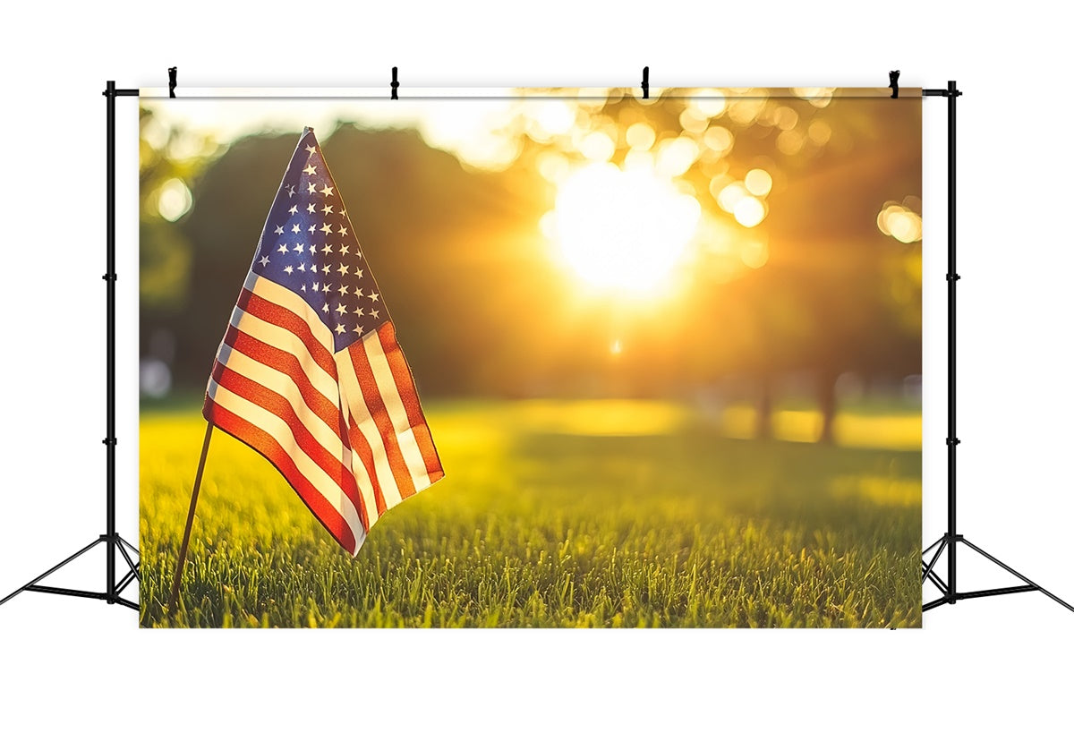 Independence Day Backdrop Patriotic Sunset Serenity Backdrop CSH6-40
