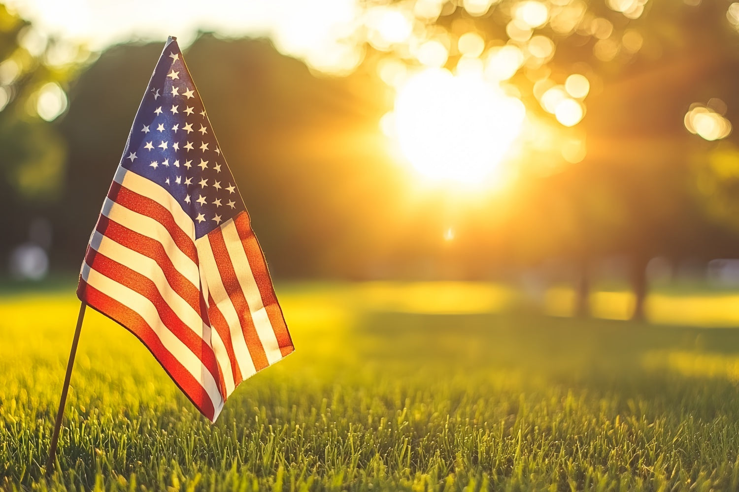 Independence Day Backdrop Patriotic Sunset Serenity Backdrop CSH6-40