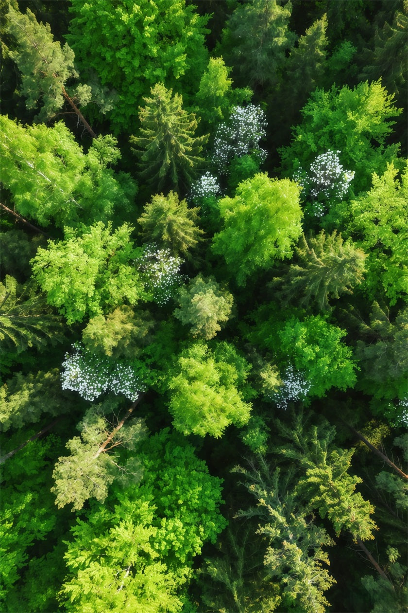 Pine Forest Backdrop Emerald Canopy Aerial View Forest Photography Backdrop CSH61-216