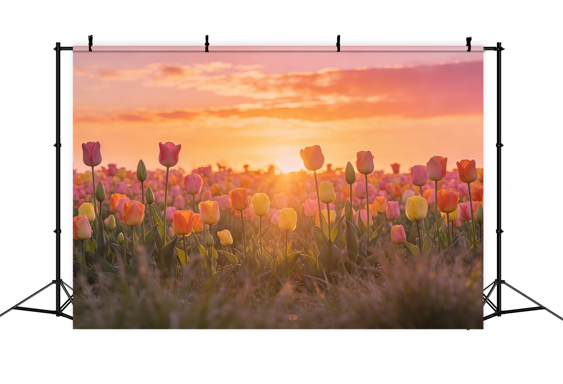 Easter Tulip Backdrop Sunset Field Floral Meadow Easter Photography Backdrops For Sale CSH61-64