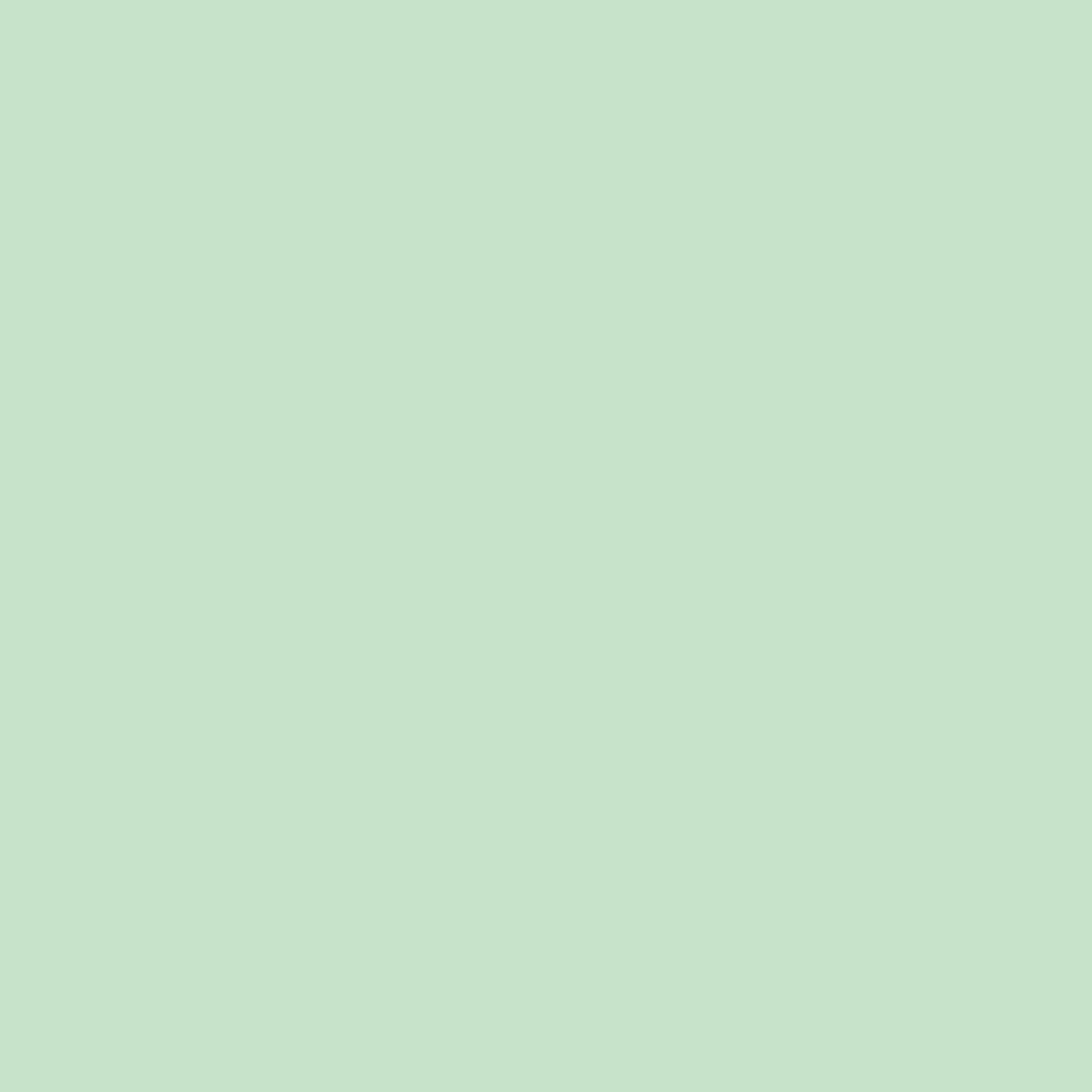 Green Photo Backdrop Soft Mint Green Gentle Hue Backdrop Solid Color CSH62-10