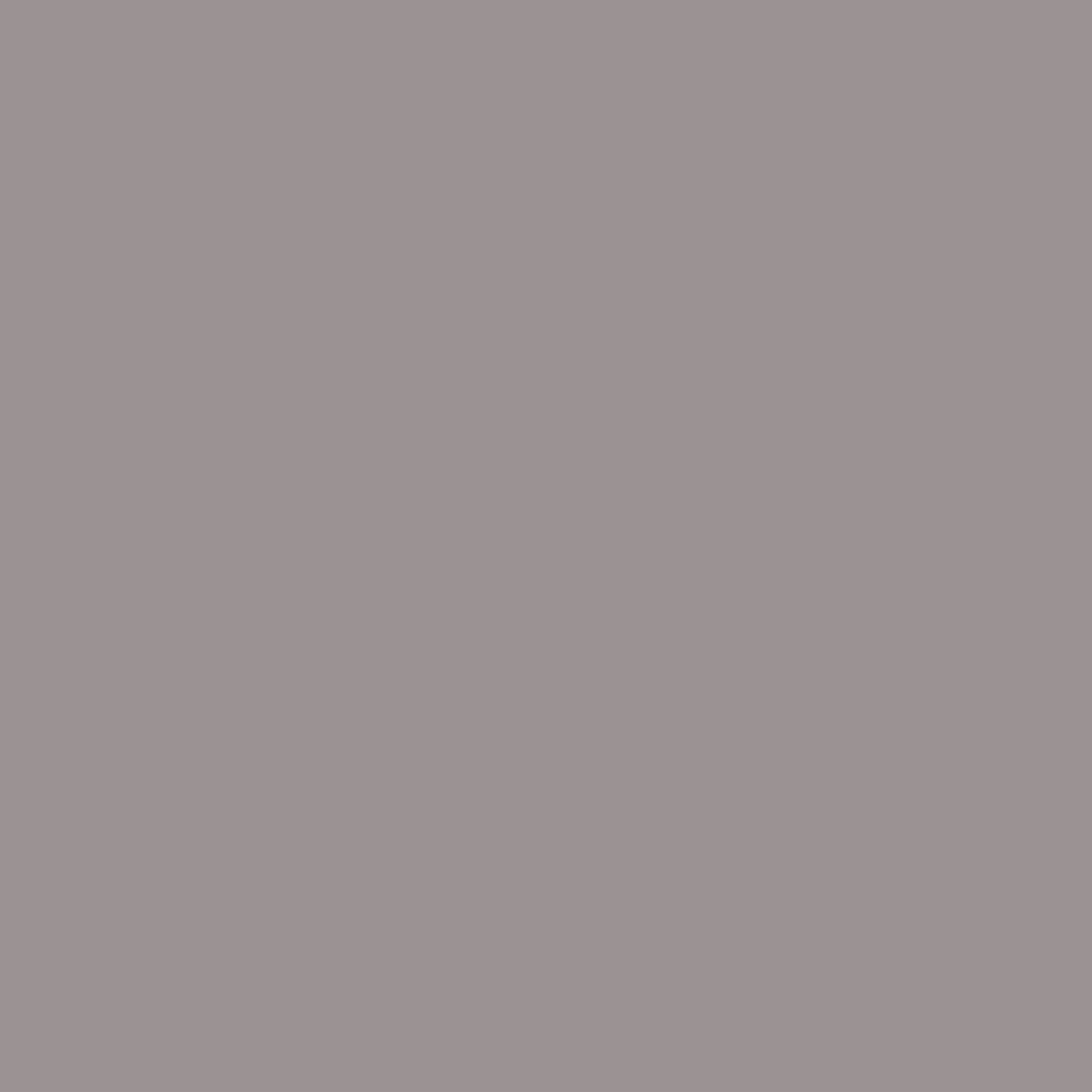 Light Brown Backdrop Warm Taupe Neutral Matte Tone Photography Solid Backdrops CSH62-13