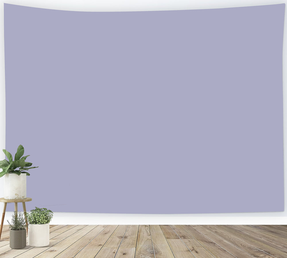 Purple Photo Backdrop Soft Lilac Grey Gradient Solid Color Backdrop CSH62-18