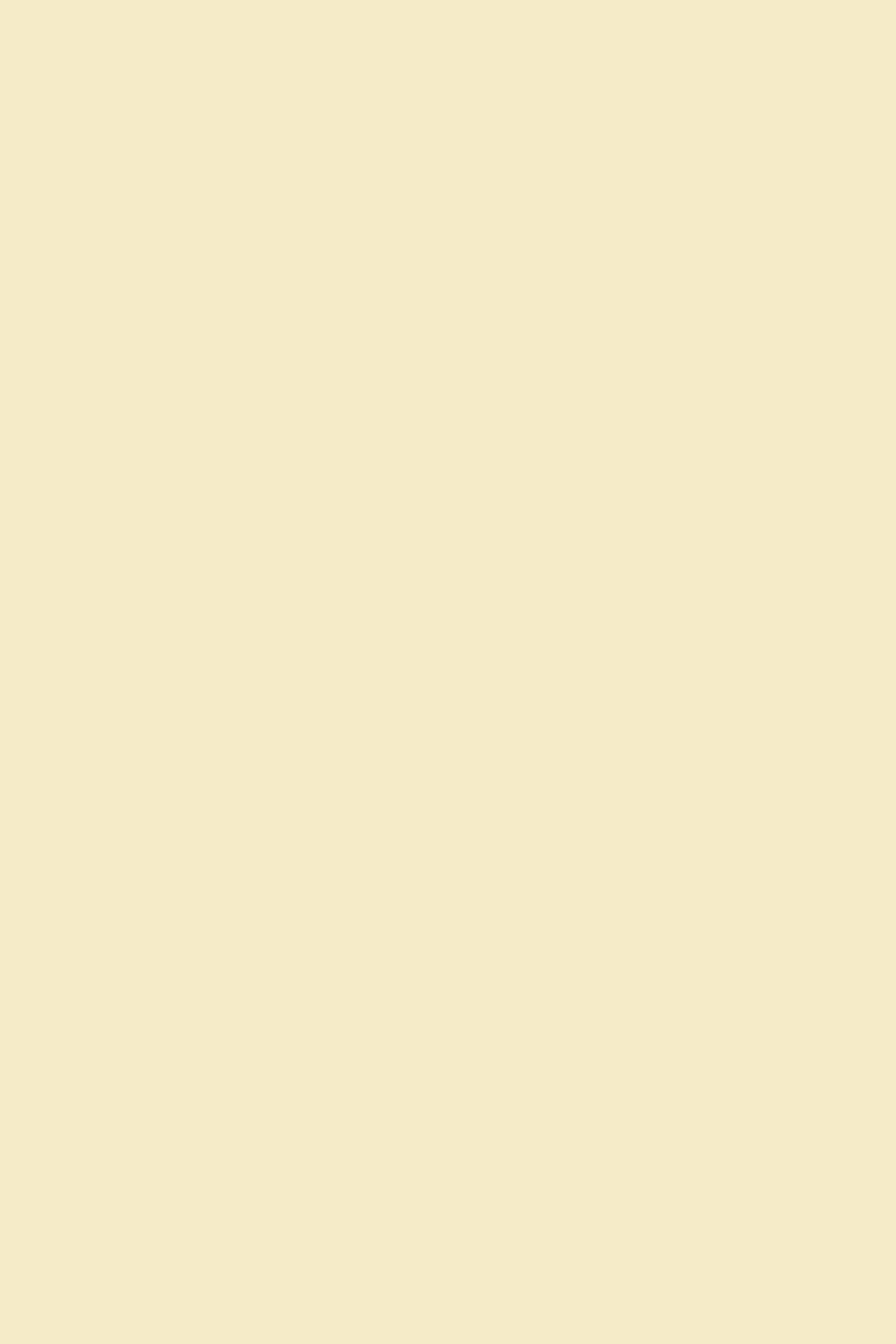 Cream Backdrop Soft Buttercream Neutral Wash Solid Color Backdrop CSH62-2