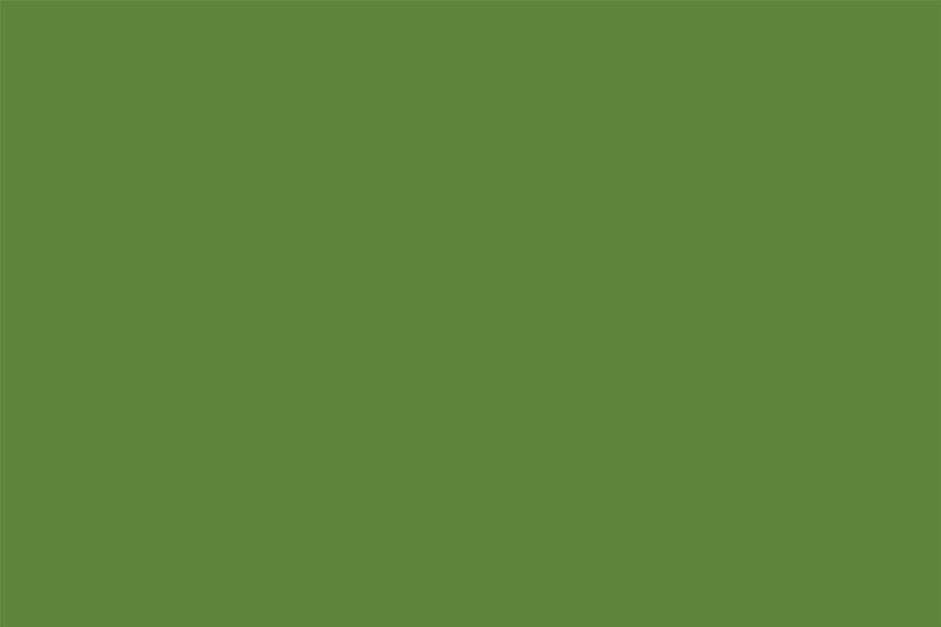 Green Photography Backdrop Olive Green Earthy Solid Shade Solid Backdrops CSH62-28
