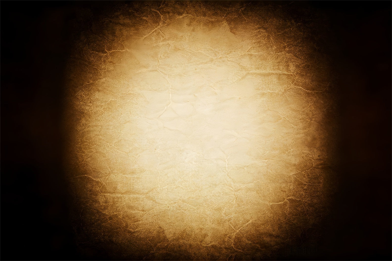 Gradient Backdrop Antique Gold Parchment Glow Professional Headshot Backdrop CSH62-60