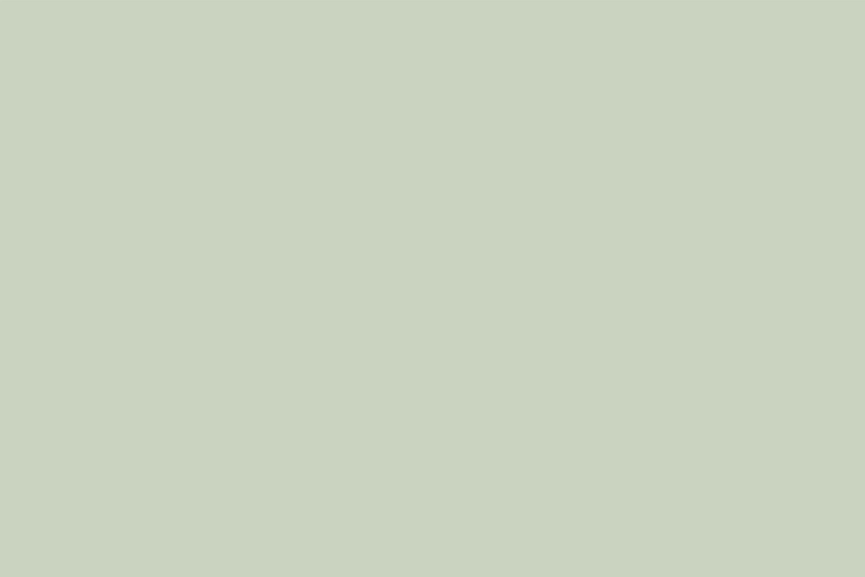 Green Backdrop Gentle Sage Green Natural Shade Solid Color Photo Backdrops CSH62-8